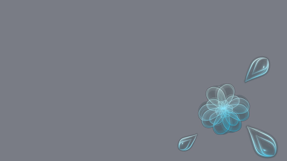 blue and gray floral pattern HD wallpaper