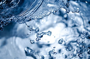 water droplets photography HD wallpaper