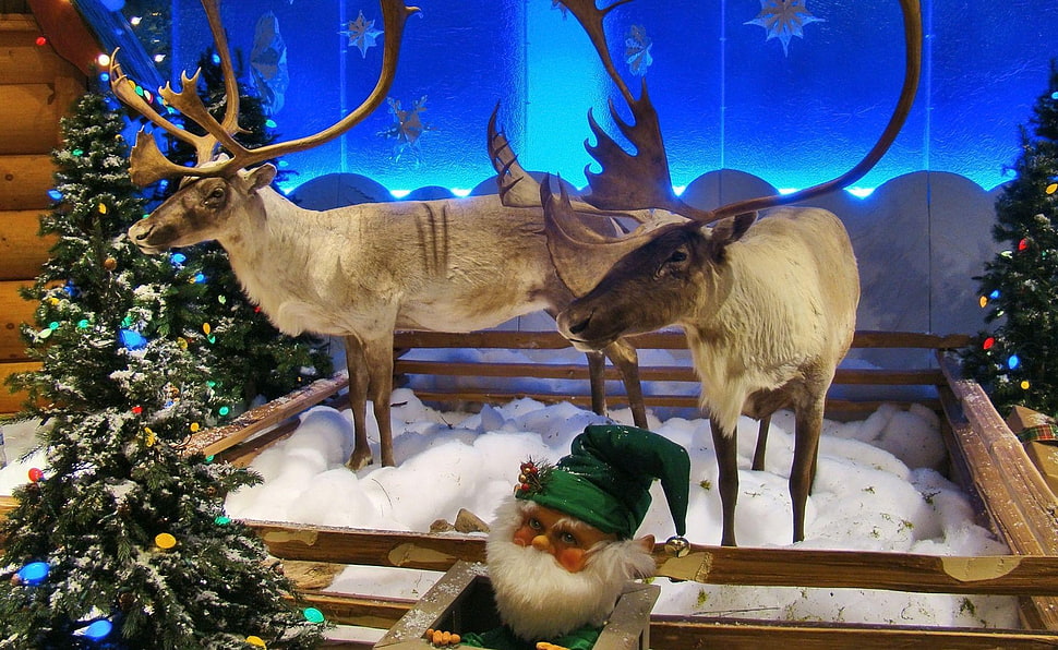 Trees,  Reindeer,  Corral,  Elf HD wallpaper