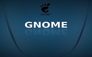 Gnome logo screenshot, Linux, GNU, GNOME HD wallpaper