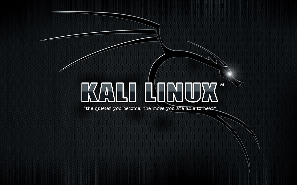 Kali Linux logo, Kali Linux HD wallpaper