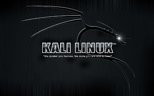Kali Linux logo, Kali Linux HD wallpaper