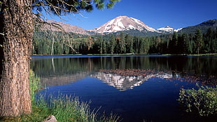 body of water near trees and mountain during daytime