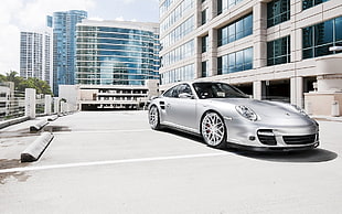 silver Porsche 911 coupe, car