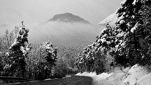 concrete road, nature, road, winter, mountains