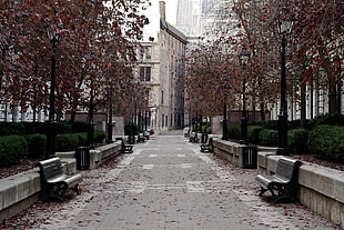 gray concrete road, architecture, bench, street