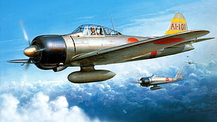 gray fighter jet, Japan, World War II, Zero, Mitsubishi