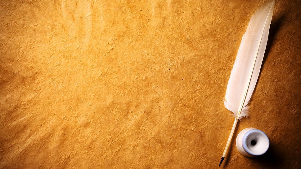 white quill pen, minimalism, simple background, feathers, texture HD wallpaper