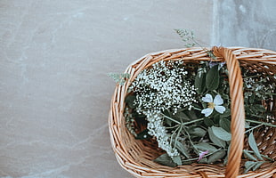 brown wicker basket, Basket, Flowers, Grass