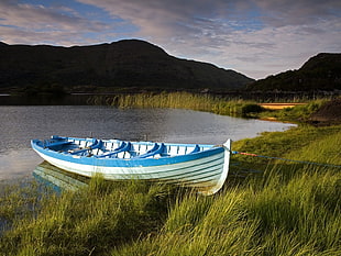 white and blue wooden canoe boat on green grass