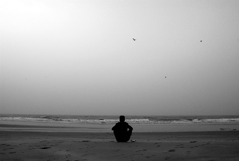 gray coast, sea HD wallpaper