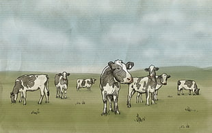 Drawing,  Cows,  Milk,  Prairie HD wallpaper