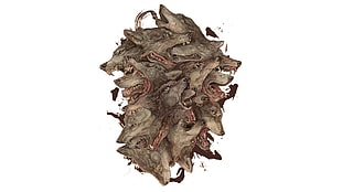 gray wolves' head illustration, drawing, wolf