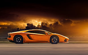orange Lamborghini coupe, Lamborghini, car