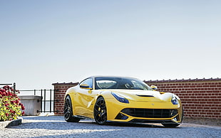 yellow coupe, Novitec, Novitec Rosso, Ferrari F12berlinetta, Ferrari HD wallpaper