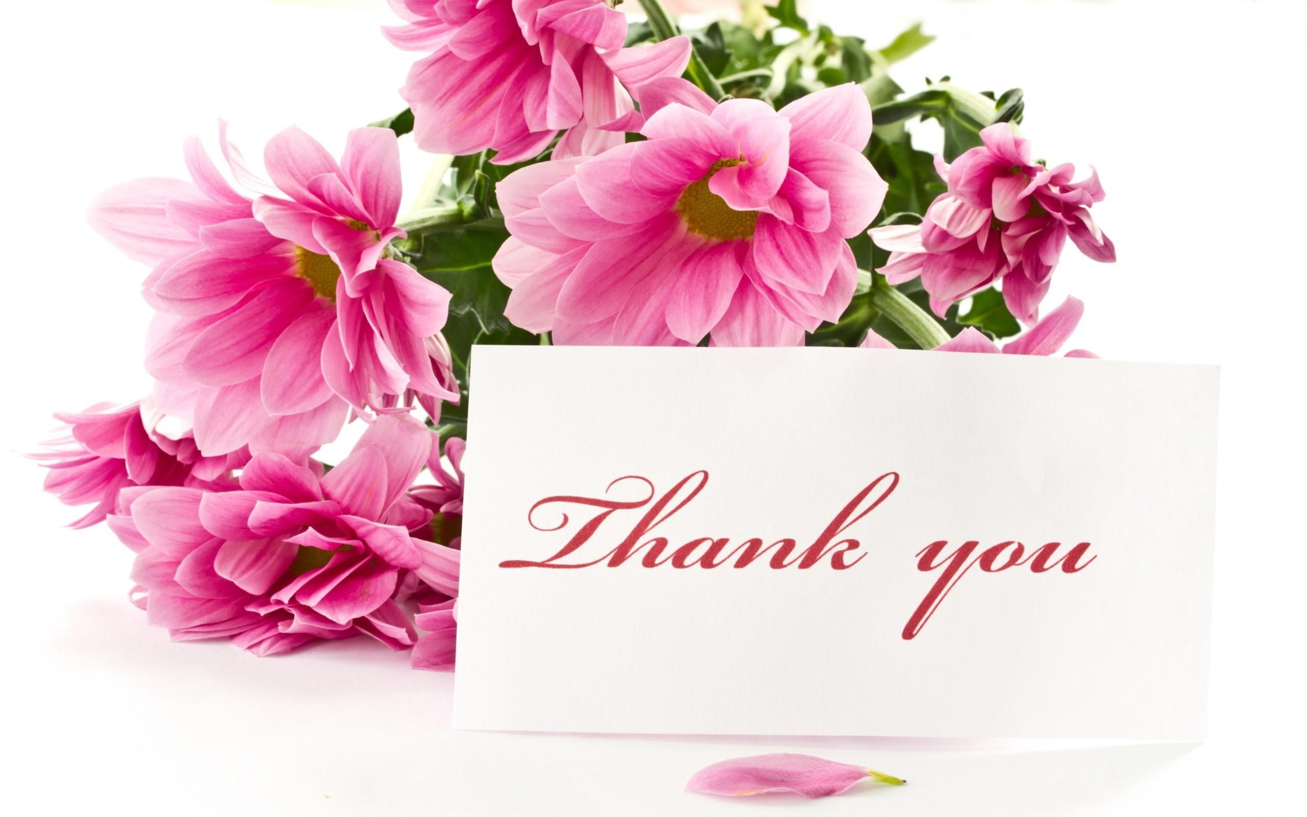 artificial pink plastic flowers with Thank You text digital wallpaper