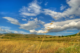 photo of landscape with white clouds