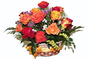 assorted color flower decoration