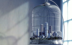 gray steel bird cage, photo manipulation