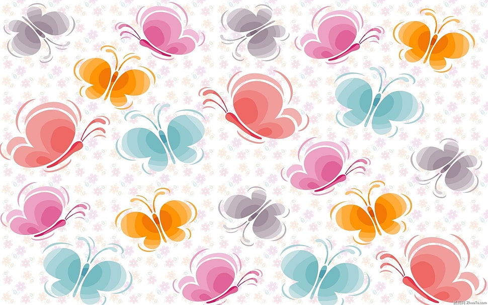 pink and orange butterfly illustration HD wallpaper