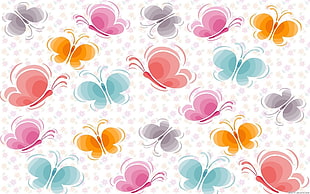 pink and orange butterfly illustration