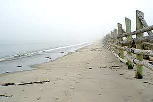 grey seashore near sea during daytime HD wallpaper