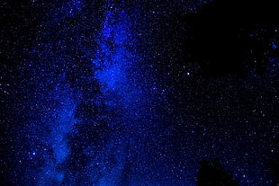 black and blue floral textile, stars, night sky HD wallpaper