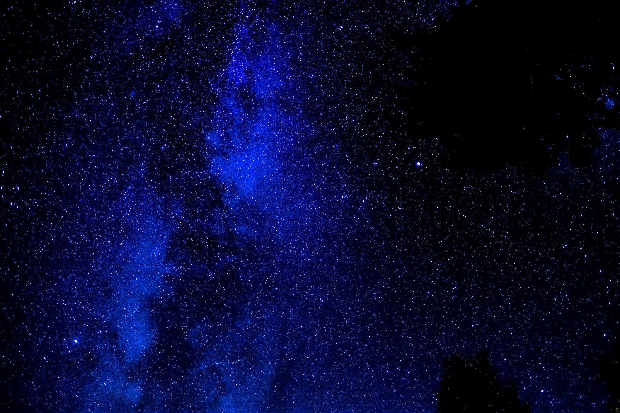 Black and blue floral textile, stars, night sky HD wallpaper | Wallpaper  Flare