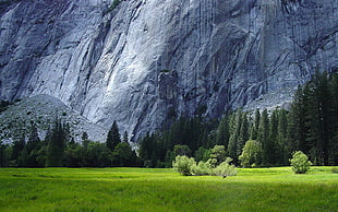 gray rock mountain, nature