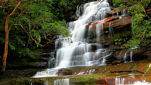 waterfalls, nature, waterfall, trees HD wallpaper