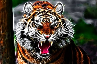 tiger digital illustration