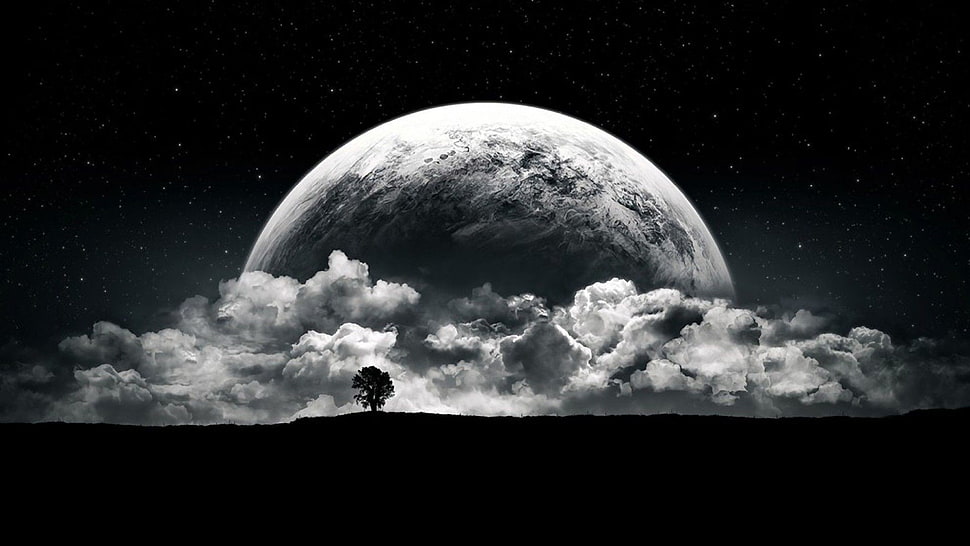 silhouette of tree during nighttime, planet HD wallpaper