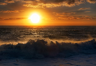 photography of raging beach wave with sun as background