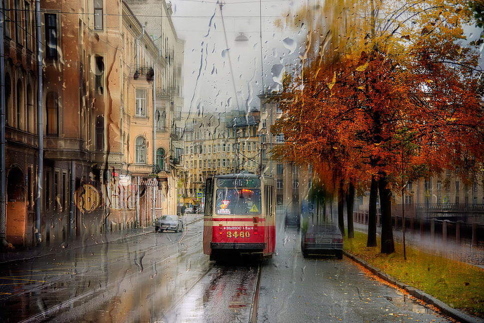 rd and beige pram, St. Petersburg, city, cityscape, tram HD wallpaper