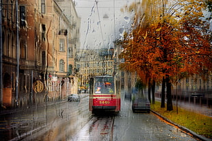 rd and beige pram, St. Petersburg, city, cityscape, tram