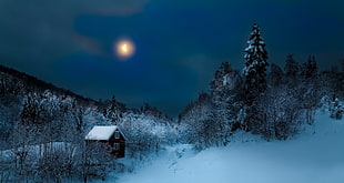 white and black field of snow during nighttime illustration