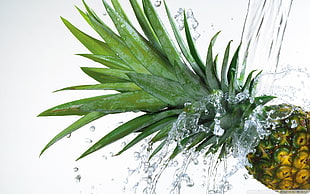 ripe pineapple, pineapples, fruit, water, splashes