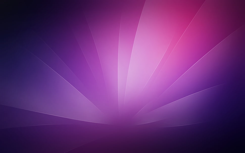 purple digital wallpaper HD wallpaper