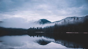 landscape photography of mountain, mist, forest, lake, nature