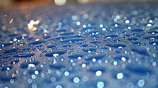 selective photography of water drop