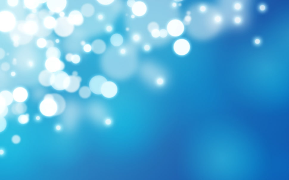 bokeh photography HD wallpaper