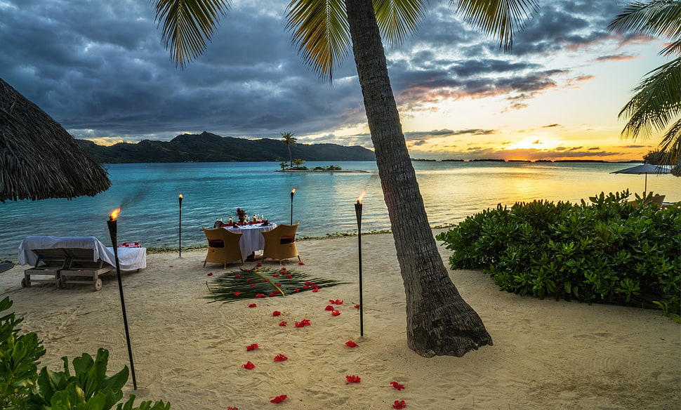 decorated table on beach HD wallpaper