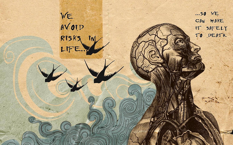 We Avoid Risks Im Life painting, quote HD wallpaper