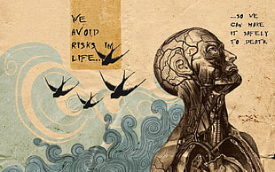We Avoid Risks Im Life painting, quote HD wallpaper