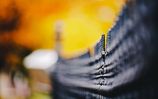 Fence,  Bokeh,  Blur HD wallpaper