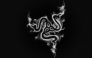 Razer logo