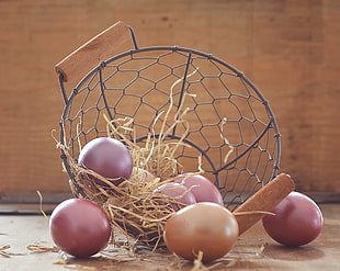 seven cream eggs on gray mesh basket