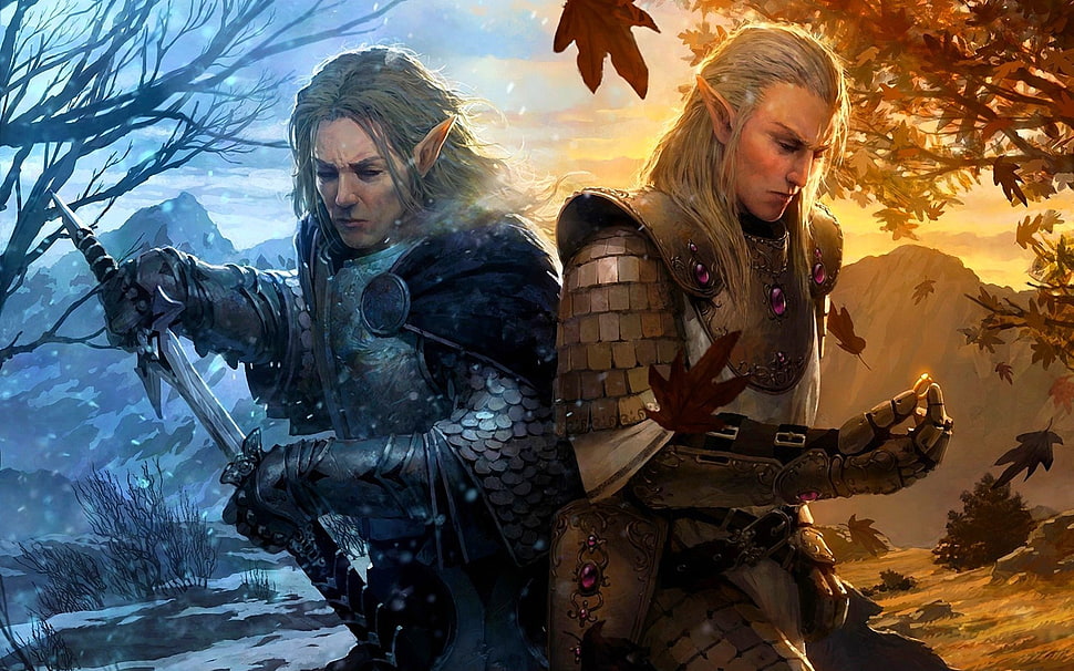 two men characters illustration, artwork, warrior, elves, fantasy art HD wallpaper