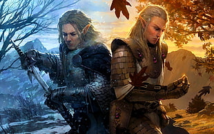 two men characters illustration, artwork, warrior, elves, fantasy art