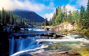 body of water near green leaved trees and mountain